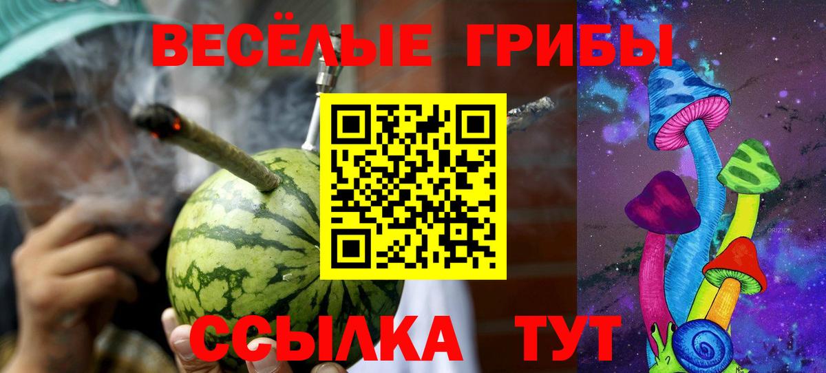 Псилоцибиновые грибы GOLDEN TEACHER  Вход с VPN  Воткинск  Галлюциногенные грибы GOLDEN TEACHER 