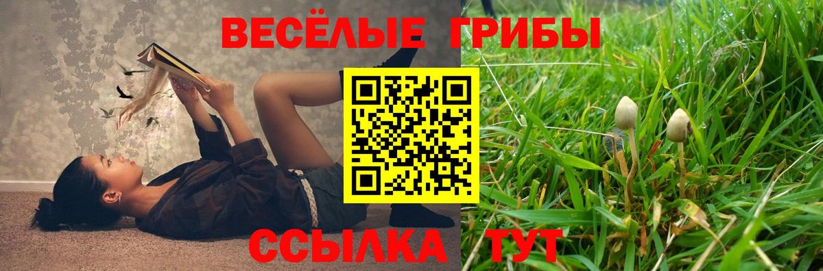 Галлюциногенные грибы прущие грибы Воткинск